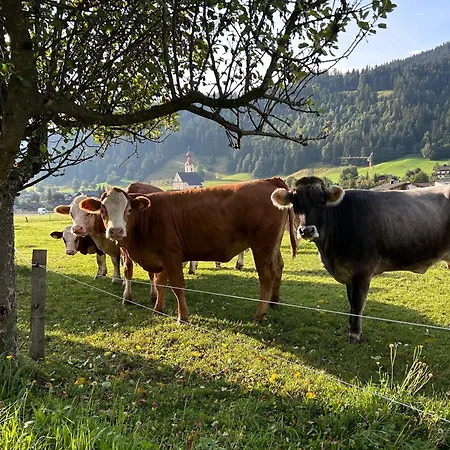 Vakantieboerderij Biobauernhof Hofreith