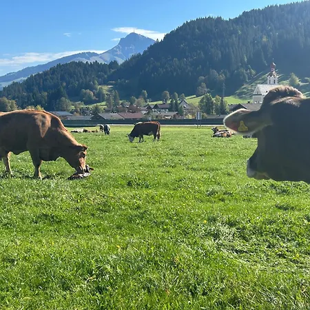Biobauernhof Hofreith Séjour à la ferme Going am Wilden Kaiser